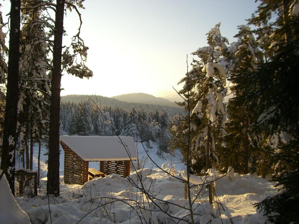 Pension Casa Selva Trin Exteriér fotografie